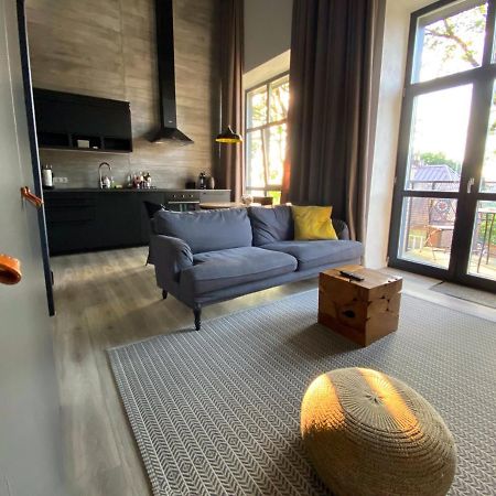 G - Owl Jazz -Modern Loft Type Apartment 18 With Big Roof Terrace And Free Private Parking カウナス エクステリア 写真