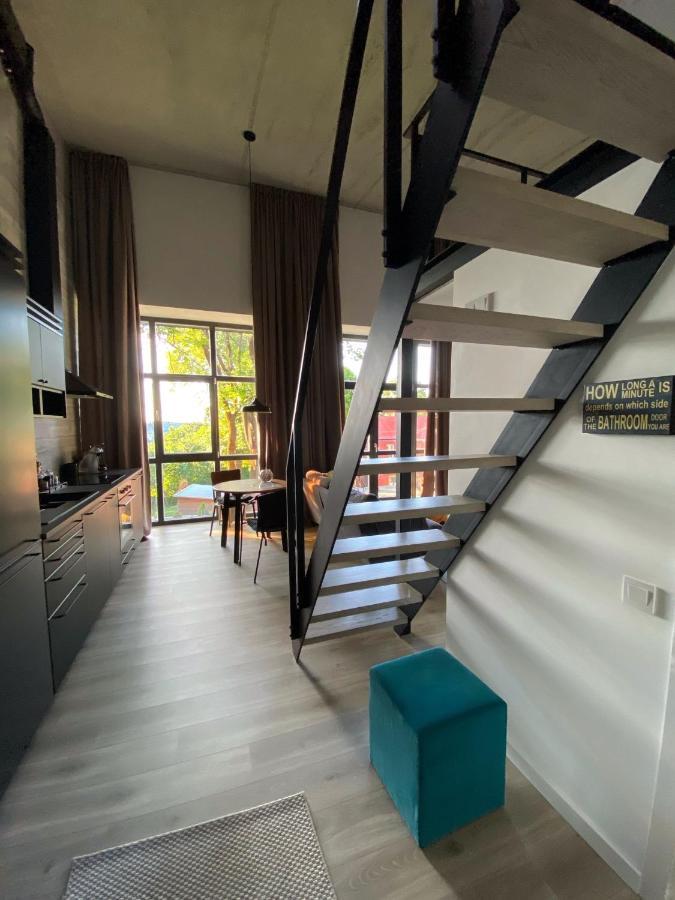G - Owl Jazz -Modern Loft Type Apartment 18 With Big Roof Terrace And Free Private Parking カウナス エクステリア 写真