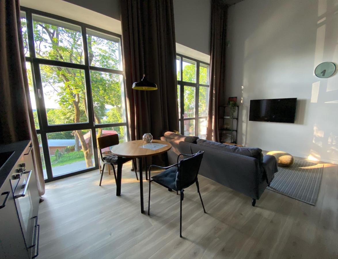 G - Owl Jazz -Modern Loft Type Apartment 18 With Big Roof Terrace And Free Private Parking カウナス エクステリア 写真