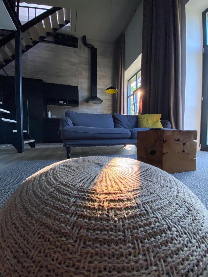 G - Owl Jazz -Modern Loft Type Apartment 18 With Big Roof Terrace And Free Private Parking カウナス エクステリア 写真