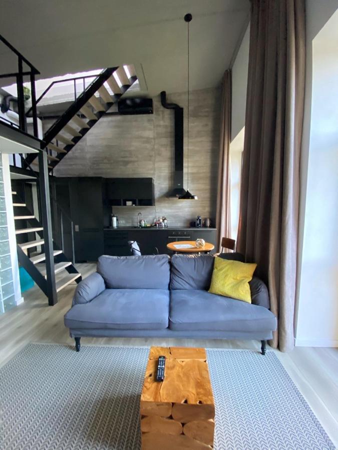 G - Owl Jazz -Modern Loft Type Apartment 18 With Big Roof Terrace And Free Private Parking カウナス エクステリア 写真