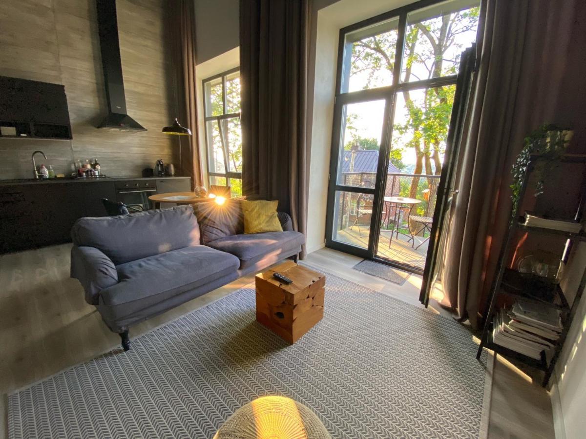 G - Owl Jazz -Modern Loft Type Apartment 18 With Big Roof Terrace And Free Private Parking カウナス エクステリア 写真