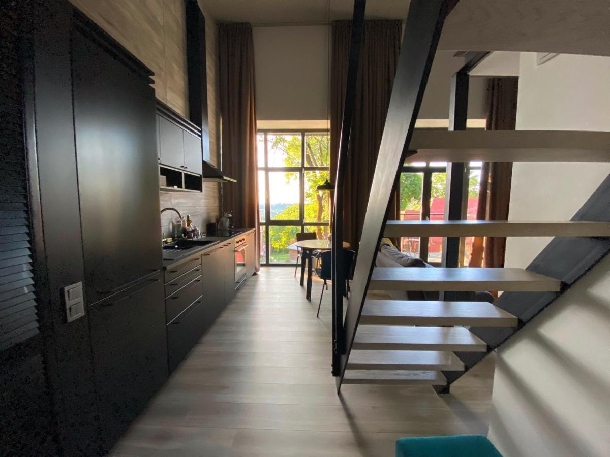 G - Owl Jazz -Modern Loft Type Apartment 18 With Big Roof Terrace And Free Private Parking カウナス エクステリア 写真