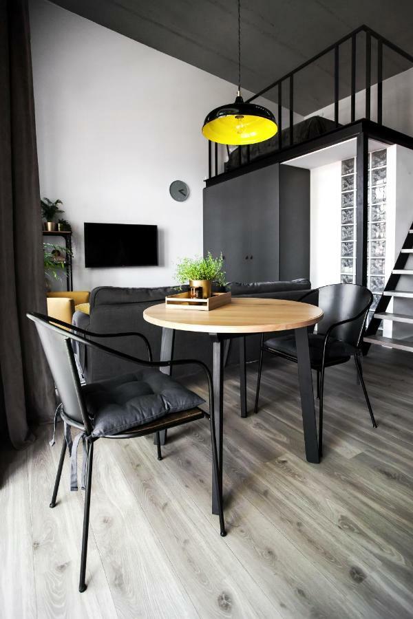 G - Owl Jazz -Modern Loft Type Apartment 18 With Big Roof Terrace And Free Private Parking カウナス エクステリア 写真